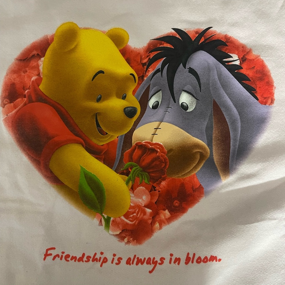 Vintage Disney Winnie The Pooh and Eeyore sweatshirt